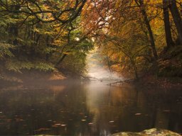 IMGP3739-Moelledammen